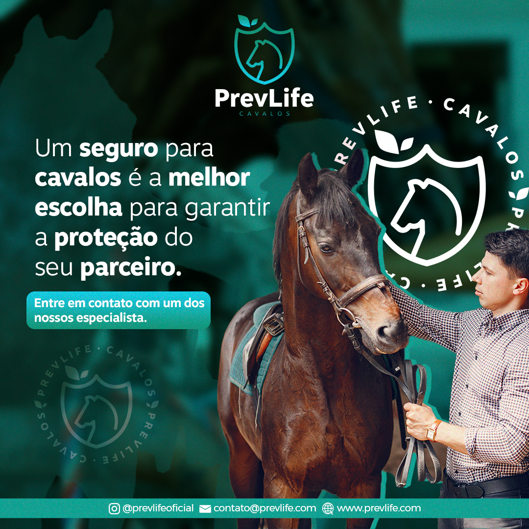 PrevLife-mod-POST-CAVALOS-01